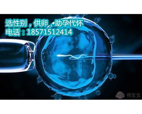南京供卵试管自怀多少钱,宁夏医科大学总医院开展了哪些辅助生殖项目