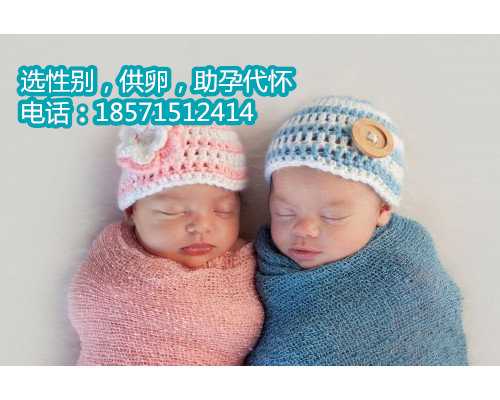 南京允许代怀吗,试管婴儿成功因素之一