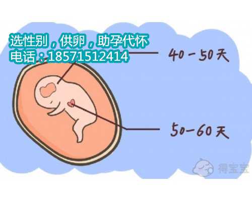 南京专业代怀孕服务,做乌克兰助孕试管婴儿移植胚胎后的常见症状有哪些