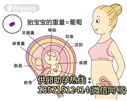 南京供卵试管有限公司费用,长沙试管婴儿排行医院排行的标准是什么